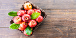 اثر تفاله سیب عمل آوری شده به همراه آنزیم بر عملکرد جوجه های گوشتی